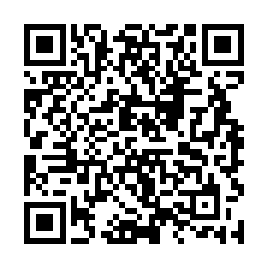 双胞胎弟弟立刻就幻化成了一个身高三米多的小巨人二维码生成