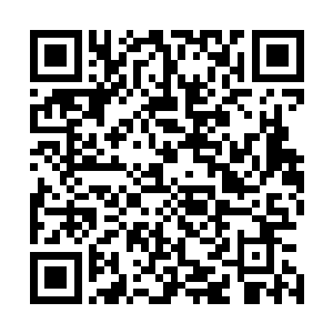 双胞胎的姐姐和他父亲刚才的举动明摆着都是在向着自己的二维码生成