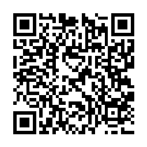 双腕被扣的苏澈原本还在头脑混乱地想着应对策略二维码生成