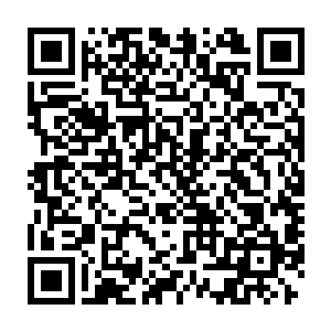 双鱼圣骑还有金牛圣骑都站在大厅之中看着教皇位置上的路易斯二世二维码生成