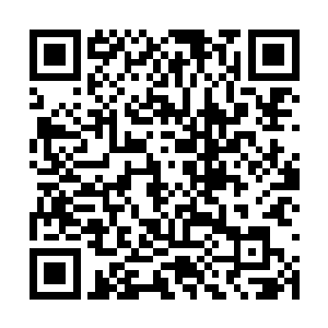 反倒是丁铃铛或者爱国者阵线里的某些人――这个二维码生成