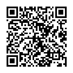 反倒是代表明湖动画过来的马爱奎拉着夏一格一再追问二维码生成