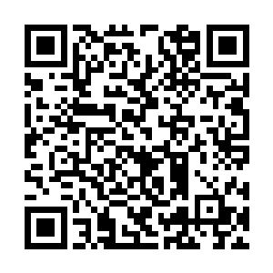 反倒是低着头羞羞赧赧的掰起了胸上作恶的那双手二维码生成