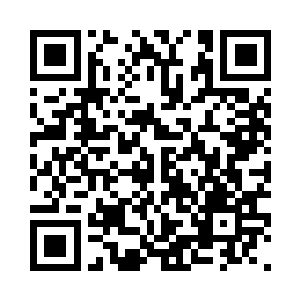 反倒是叶楚身上震动而出的气息让它十分痴迷二维码生成