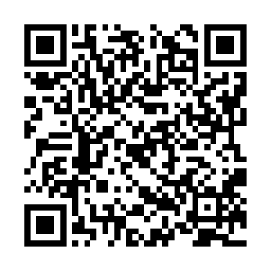 反倒是大学毕业生去实习一天连一百块都很难拿到二维码生成