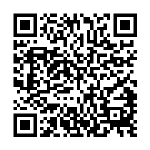 反倒是幽游天冥蛟一族的族人一个个悠然自得的再旁边看戏二维码生成
