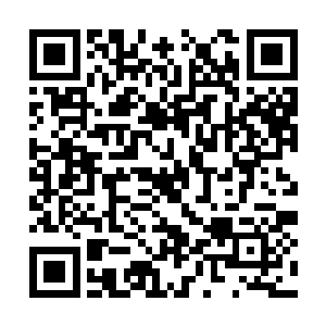 反倒是极为有序的将这些灵丹妙药分类聚集在一起二维码生成