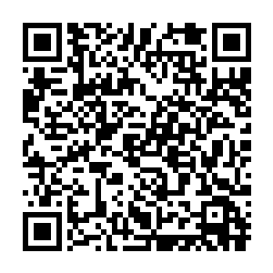 反倒是林光山那一招惊艳的倒挂金钩迅速在游戏中得到了广泛的追捧二维码生成