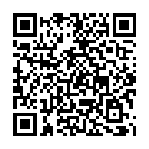 反倒是自己能不能成为上品法器师变得不重要了二维码生成