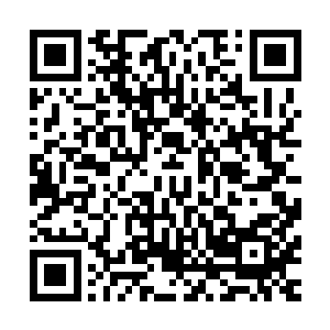 反倒是被夜老小心翼翼放在地上的小夜狐圣者没有丝毫的影响二维码生成