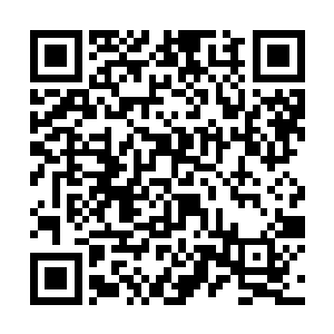 反倒是被那剑鞘释放出来的一股邪异的力量给侵蚀了二维码生成