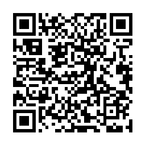 反倒是许紫烟感觉到梅傲雪的身上有着一股熟悉的气息二维码生成