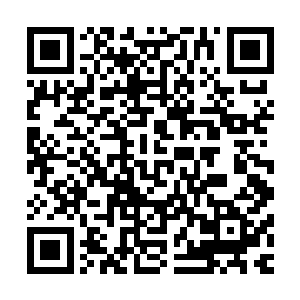 反倒是问你有没有对稚儿……那个……真是把稚儿气坏了……二维码生成
