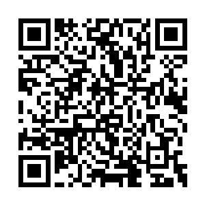 反倒真的直接把手指头给点到了夏云杰的鼻子上二维码生成