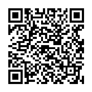 反倒自己等人气息混乱狼狈不堪……对方到底什么实力二维码生成