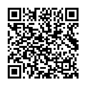 反倒被衍无玄天的一位中阶圣境的人给伤了一下二维码生成