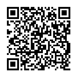 反倒觉得归塘星域采取这样的战略是十分正常的二维码生成