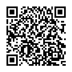 反受其旧主克制……而且这片又同时是母型方舟能级辐射区域二维码生成