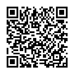 反复发作的发热症状缠缠绵绵地消耗着雨果的体力二维码生成