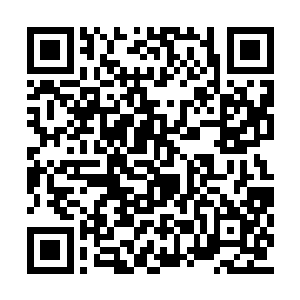 反复进化和相互吞噬让你找不出两只相同的恶魔二维码生成