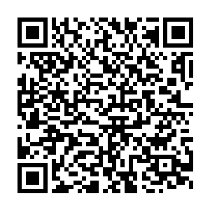 反应过来的两人看着站在自己面前的苏凡此刻心脏也是不停的颤抖着二维码生成