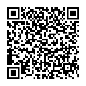 反应过来的天骄无不是在第一时间向着踏天桥尽头的祭坛上疾驰而去二维码生成