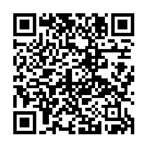 反手就从系统里拿出了一份高级治疗兽血塞进了嘴巴里二维码生成