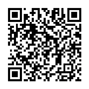 反手扣着一个红包不着痕迹的塞给了拦路的东厂番子二维码生成