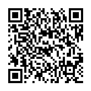 反正一千一百三十七名也能名列天街大统领之位了二维码生成