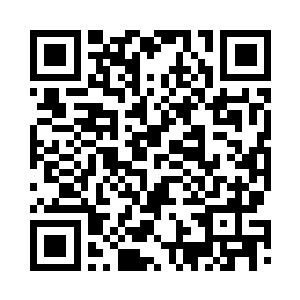 反正不管如何它都会拼死保护染染的二维码生成