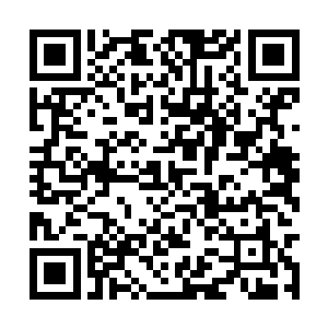 反正不管是小炎还是小雷都经过了九焰天火塔改造二维码生成