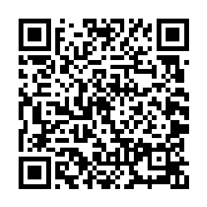 反正也不用担心盗猎分子会有狙击手把他们干掉二维码生成