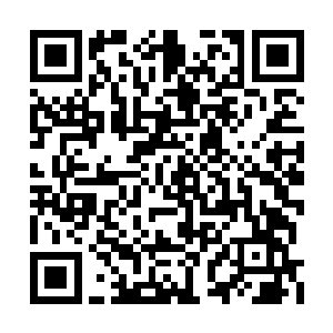 反正也就是自己的舅舅和舅妈能够掌握这个火候二维码生成
