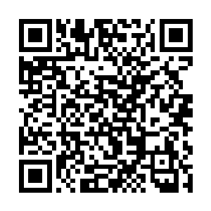 反正他们在一个小山坡的浓密植被里昏睡到了第二天二维码生成