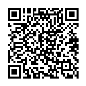 反正他们的祖辈开始便是交代不能打开这座大宅的门二维码生成