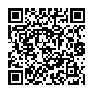反正你现在也只不过是城市车道的检票员而已……二维码生成