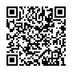 反正到时候留守大人和杜怀伤都会力求威力集中二维码生成