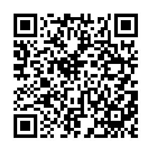 反正即便是对欧洲文艺电影比较推崇的国内电影人二维码生成