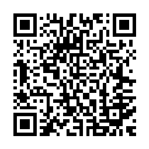 反正只知道这肯定是之前那个金色暴虐能量自爆产生了后遗症二维码生成