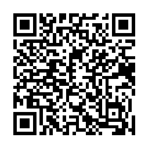 反正向婉那次是按照巴克的口述做了一份详细的事件经过二维码生成
