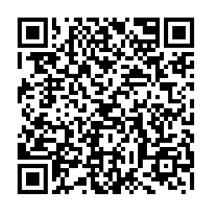 反正在素来看人极准又有着瞳术洞察之能并且有心理博士学位的代离看来二维码生成