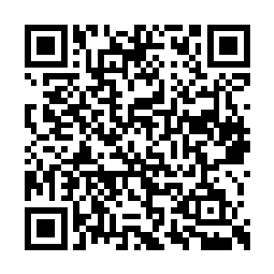 反正在紫烟空间内如今的药园已经拓展到数百个二维码生成