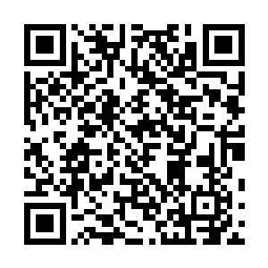反正夏天就是将所有能够增加天阵修炼的办法全都想到了二维码生成