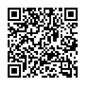 反正她又不是第一个被叶念牵来店里买衣服的女孩二维码生成