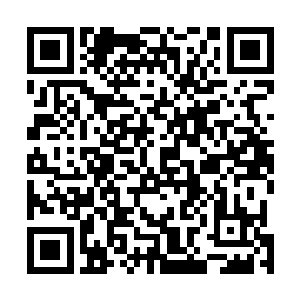 反正她只要看着自己的生命值以及几个直观的数据就行了二维码生成