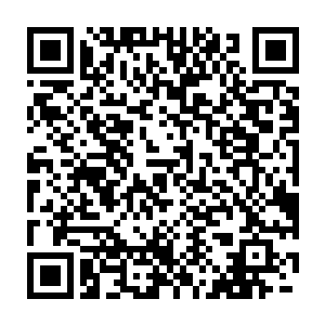 反正她应该也早就察觉到了时间之主的时停每隔一分钟才能动一次二维码生成