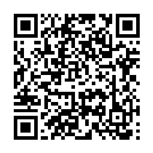 反正张铁完全就是把烈焰红莲的莲子当做零食在吃二维码生成