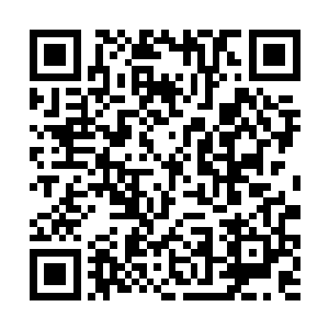 反正成建制的修真者势力在星海中央早就不复存在了二维码生成