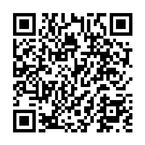 反正我们待在这里到时候教皇那老东西也会对我们下手的二维码生成