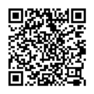 反正我那三脚猫的医术是教不出来你这样的徒弟二维码生成